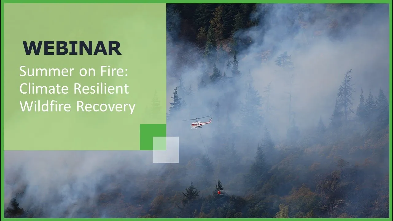 A Summer on Fire: Climate Resilient Wildfire Recovery