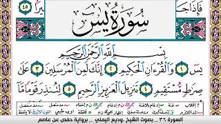 تحفيظ سورة يس كل صفحة مكررة 3 مرات للحفظ والمراجعة والتثبيت وديع اليمني 