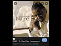 Download Lagu New Album In 2005. My Point Of View by Najee