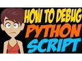 How to Debug Python Script