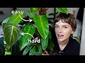 easiest vs hardest philodendron in my collection