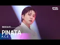 Lagu A.C.E (에이스) – PINATA @인기가요 inkigayo 20241124