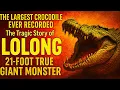 Download Lagu The Largest Crocodile Ever Recorded – The Tragic Story of Lolong