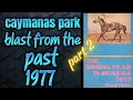 caymanas park 1977 blast from the past