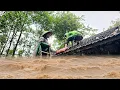 Download Lagu Before the big storm, police officer Cuong helped little girl Tieu Nu repair her roof in time.