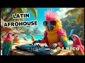 Download Lagu 🎧 DJ Rico the Funky Parrot | Latin Afro House Sunset Tropical Party 🌴🔥  Funky Animals DJ in The Mix