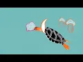 Stop Plastic Pollution for Clean Ocean 2