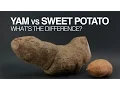 Download Lagu Yams vs Sweet Potatoes: What's the Difference?