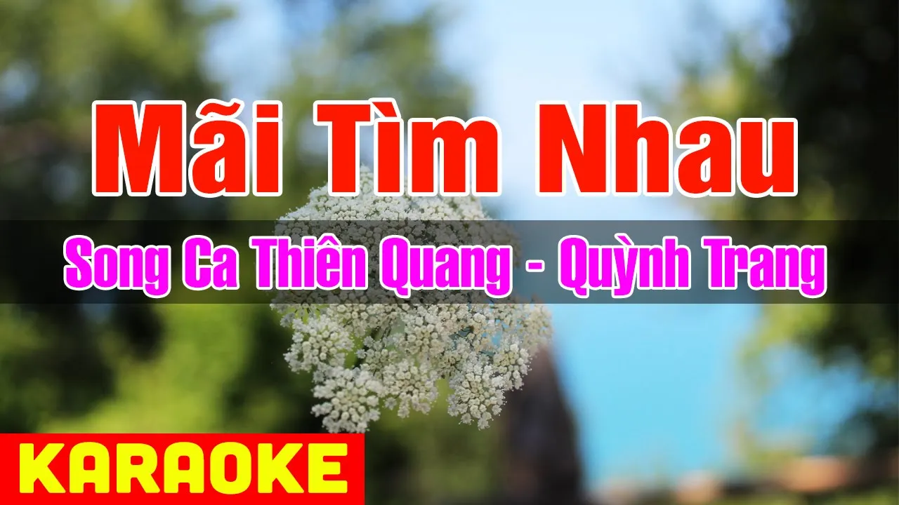 Mãi Tìm Nhau  - Song Ca CD ♥️♥️ PP