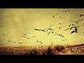 Oceanvs Orientalis - Tarlabasi (Be Svendsen Remix)
