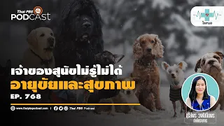 สุนัขโตเต็มวัยควรได้รับอาหารประเภทใด