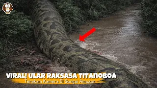 ULAR RAKSASA TITANOBOA Terekam Drone Meliuk² di Sungai Pedalaman Hutan‼️