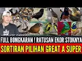 Download Lagu 🔴 FULL BONGKARAN ! TERBARU STOKNYA RATUSAN EKOR MASIH DIJALUR PROMO 0838-7553-6945