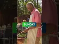 Gexa Energy - Free 3-Day Weekends Plan