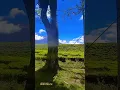 Download Lagu Abang ku jauh lagu jambi Kerinci