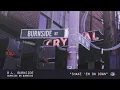 R.L. Burnside - Shake 'Em on Down (Official Audio)