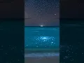 Download Lagu The Sea of Stars: An Annual Bioluminescent Phenomenon part 1