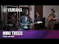 Mini Trees Push and Pull Yamaha Pacifica SC Professional Performance