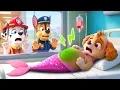 Lagu ¡La sirena Skye se enferma! Doctor Ryder, por favor, ¡ayúdala! | PAw PatRol en Español | Rainbow 3