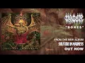 VADER - Bones (OFFICIAL VISUALIZER)