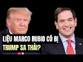 Lagu Marco Rubio Phì Cười Khi Tổng Thống Trump Nói Về Việc Sa Thải Ông Ấy