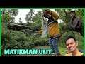 Download Lagu Nakaharvest ULIT KAMI NG TILAPIA! ANG LAKAS NA NAMAN NG BAHA SA AMIN ..