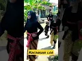 Download Lagu Bojomu Sesok Tak Silihe...?