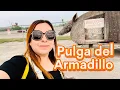 A Flea for Collectors Armadillo Flea Bussey s Flea Market Vintage San Antonio Texas