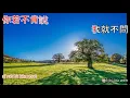 傷痕 - 林憶蓮 Shang hen - karaoke