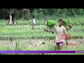 Download Lagu INSTRUMENTAL MEH RAHINO RELAKSASI ALAM DAN FIKIRAN FRESS