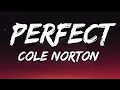 Download Lagu Cole Norton - Perfect (Lyrics)