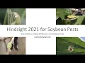 Soybean Pests 2022