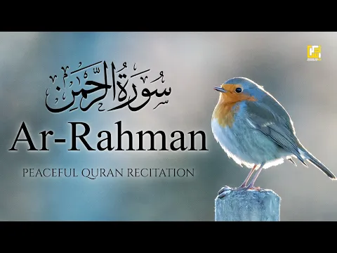 Download MP3 Surah Ar-Rahman سورة الرحمن | This Voice will TOUCH your HEART إن شاء الله | Zikrullah TV