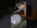 Something Was Hiding Under the Sand – WATCH THIS