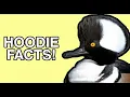 The Life of the Hooded Merganser - Duck Facts