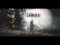 The Forbidden Samurai Skills Introduction part 2 Dragon s Dogma 2 Skill Maker Vocation