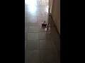 Wall Following Robot Using PID Controller