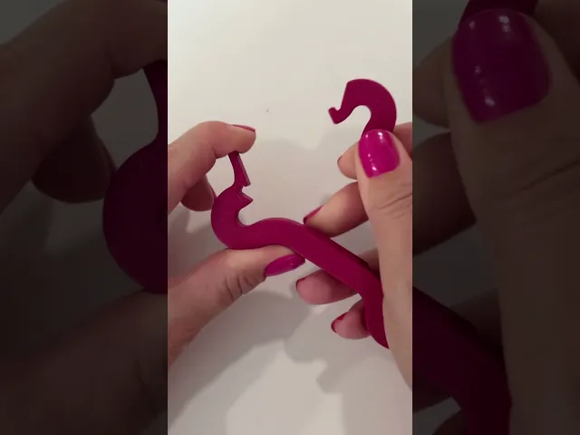 SNAPSEAL CLIP video thumbnail