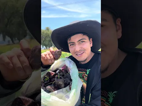 MI CHILE YA ESTÁ SECO 🤠