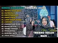 Download Lagu TRESNO TEKAN MATI 🎵 | NIKEN SALINDRY | FULL ALBUM TERBARU VERSI CAMPURSARI VIRAL🎵 TRENDING 2025/2024