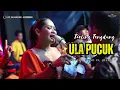 Download Lagu ULA PUCUK ~ NUNG UL QISMA // CITRA NADA LIVE DESA SALAREUMA (DUSUN WAGE) // CIPICUNG - KUNINGAN