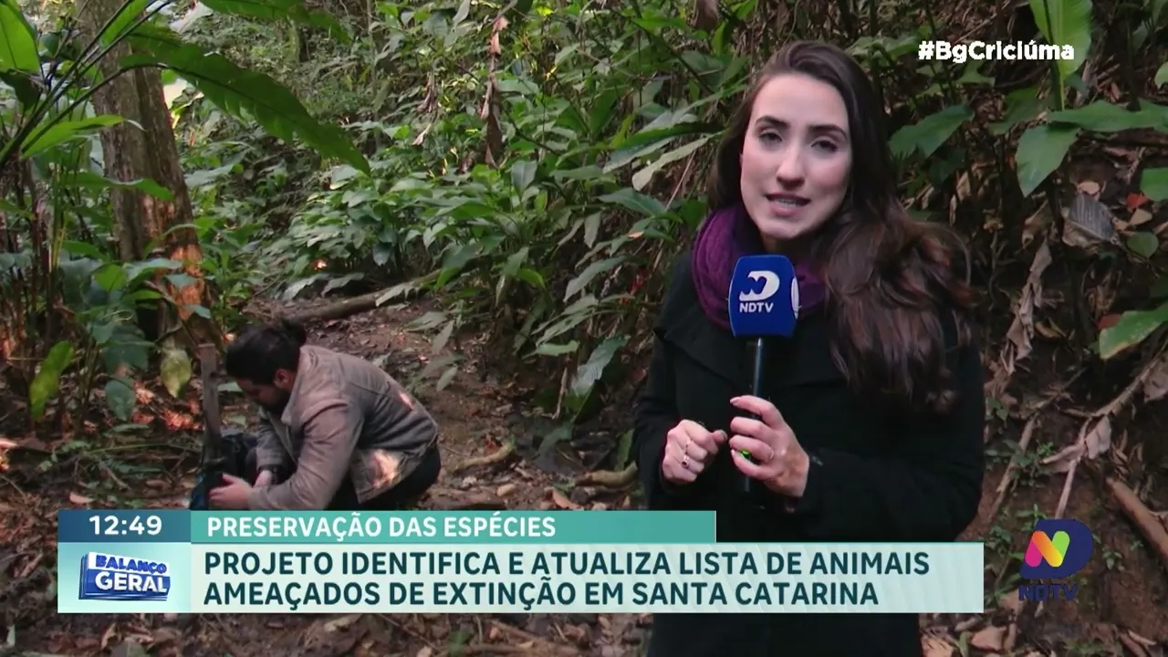Instituto atualiza lista de animais em extinção em Santa Catarina