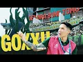 Download Lagu AREK SUROBOYO GOXX! Loyal Supporter bikin Merinding!