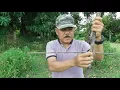 Download Lagu jebakan dari bambu untuk bermacam madam burung