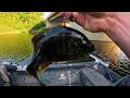 BIG Baits For big Flathead Catfish