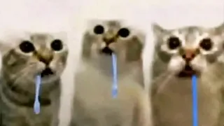 INSTAGRAM MEMES | 14