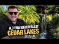 10 Reasons Why Cedar Lakes Woods Gardens Near Gainesville is Worth a Visit