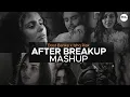 Download Lagu Dost Banke X Ishq Risk  X Zihaal e Miskin X Koi Si Mashup | After Breakup Mashup 2024 |