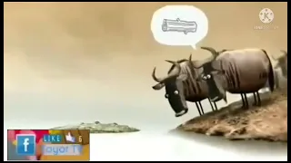 ارتحت يا كسمك    دندنها
