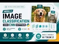 Week 2 Image Classification using CNN in Python Deep Learning Project AI Task 2